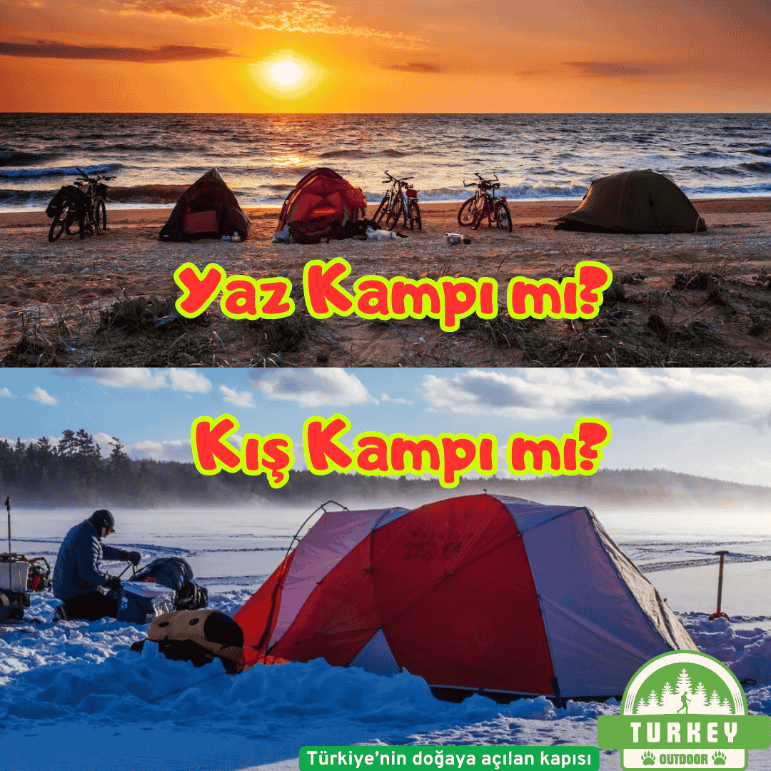 Camp d'été ou camp d'hiver ?