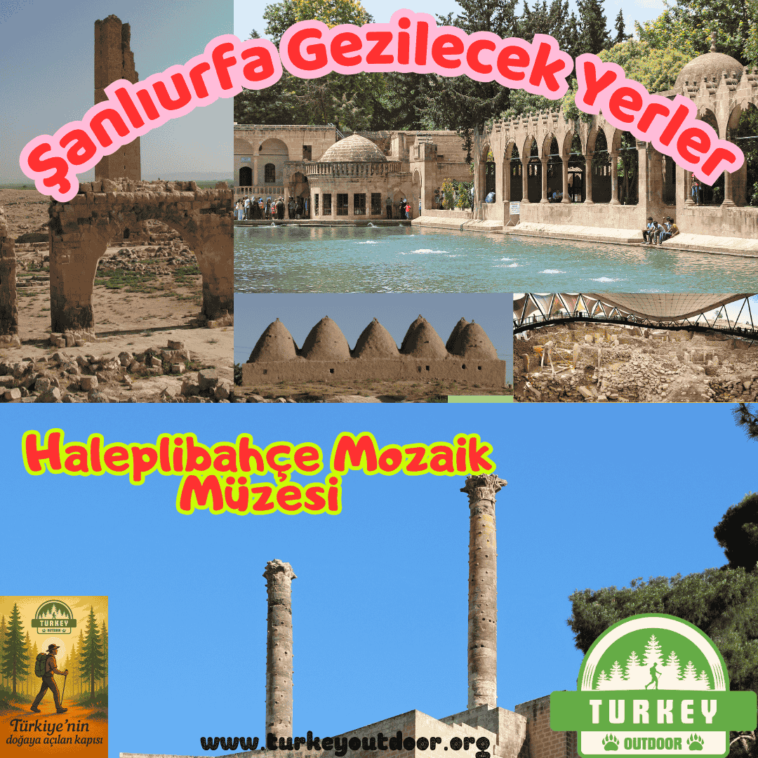 Şanlıurfa Haleplibahçe Mozaik Müzesi