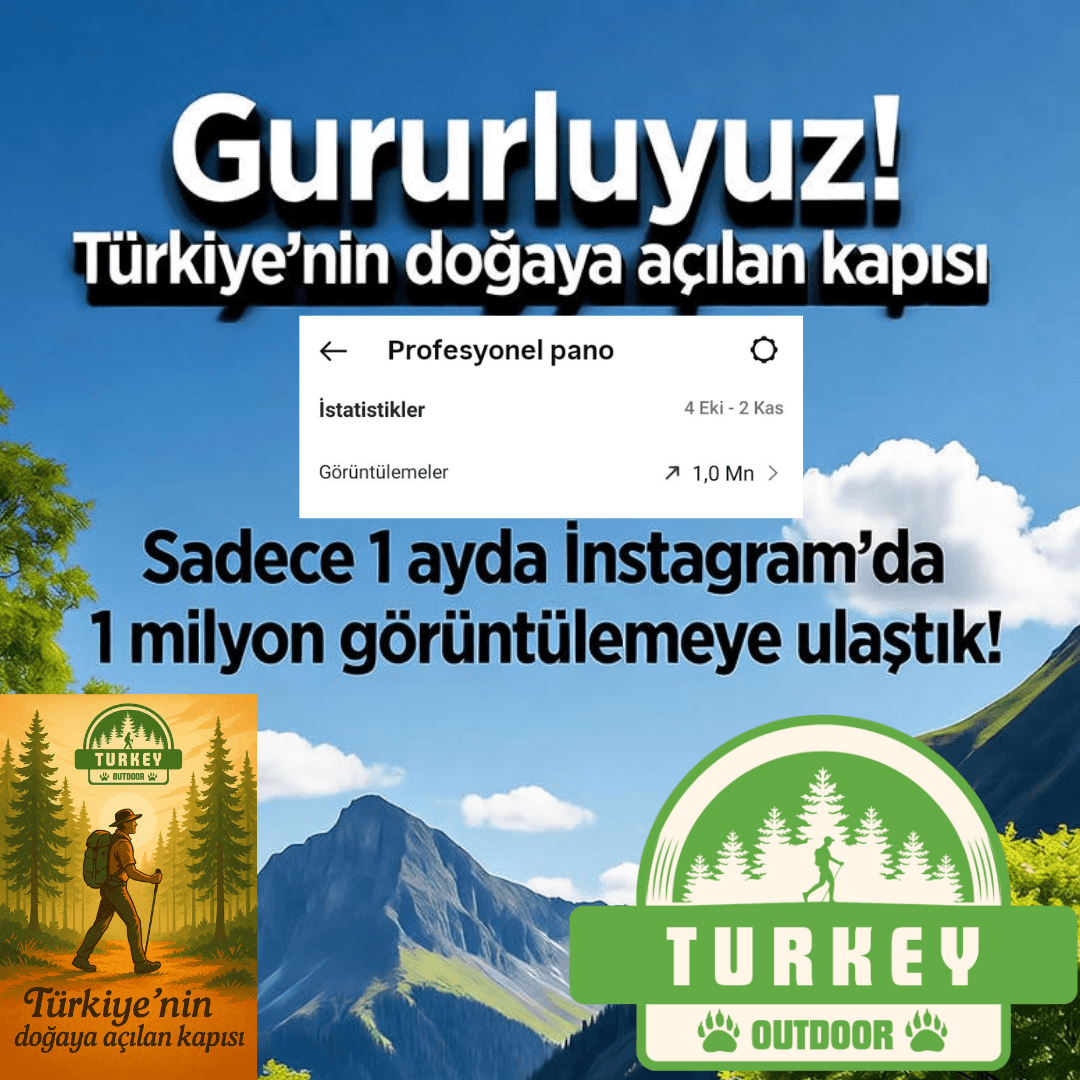 Wir haben 1 Million Aufrufe erreicht.