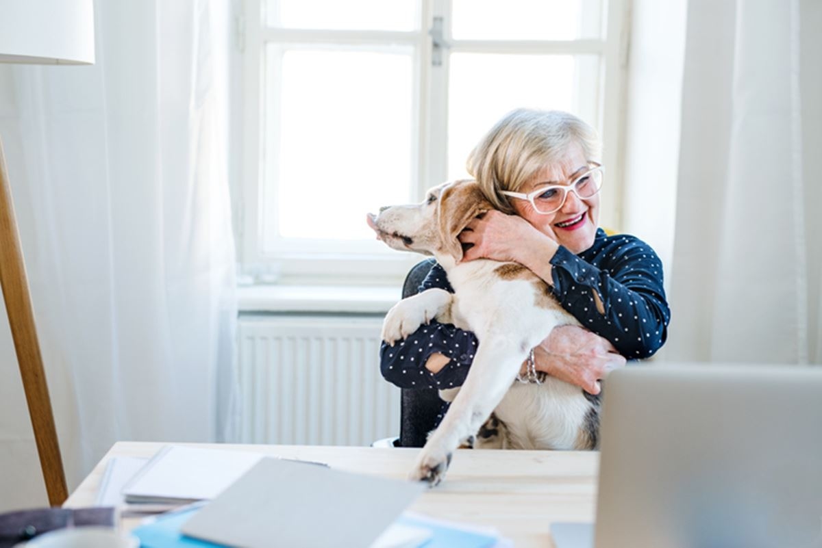 Siete formas de adoptar una mascota y ampliar tu familia