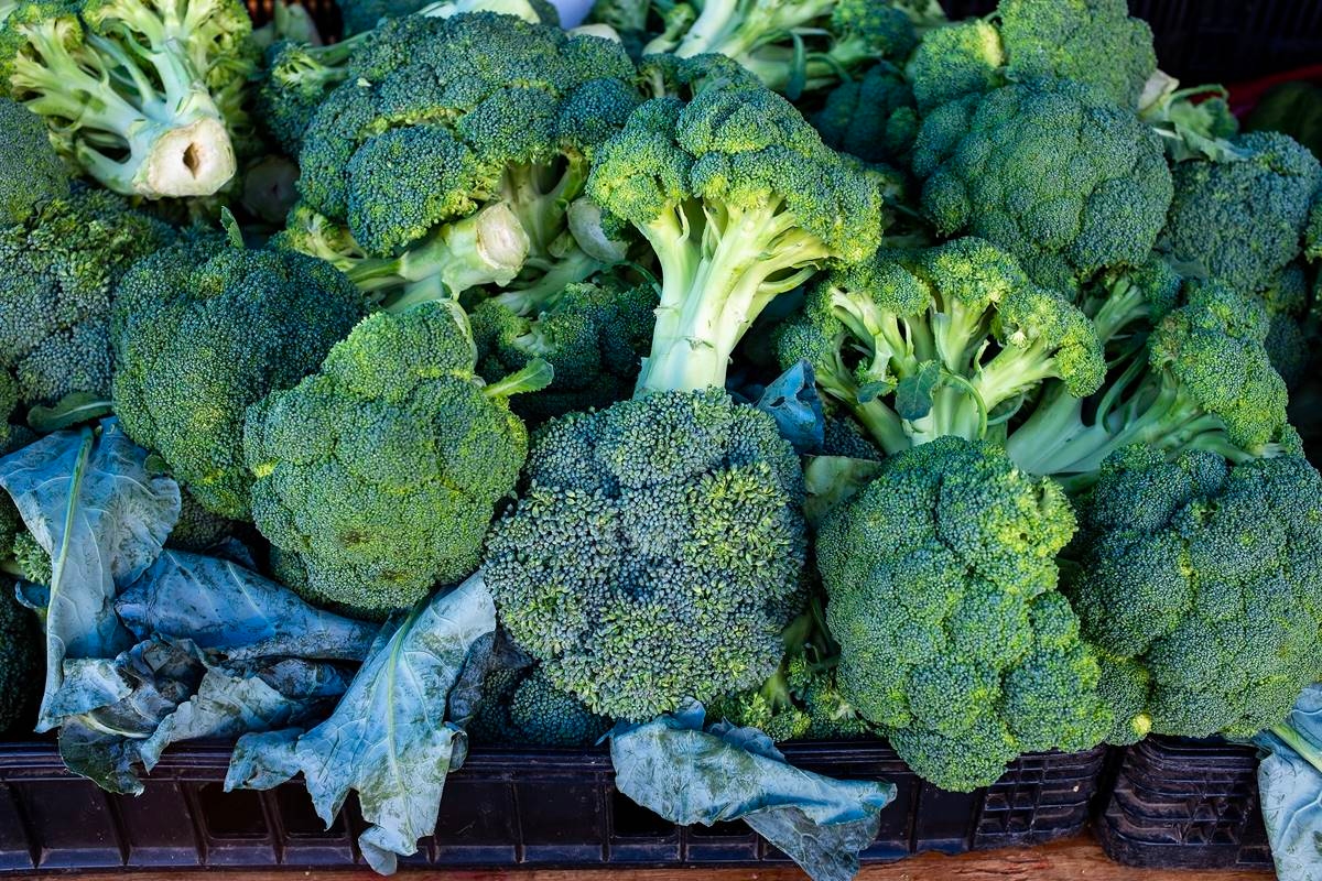 Ernährungsberaterin erklärt, welche Brokkolisorte am besten für Ihre Gesundheit ist