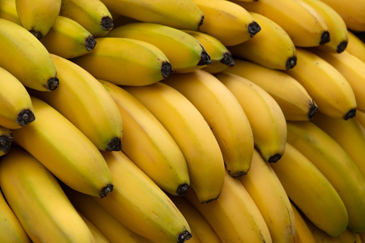 Tag der Banane: Ernährungswissenschaftler verrät Trick, damit Obst langsamer reift