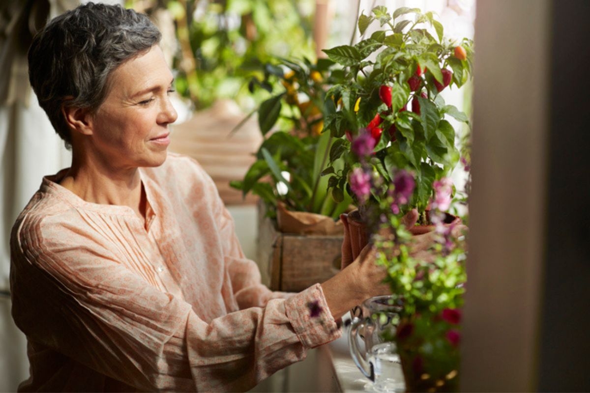 3 flores aromáticas para cultivar y mantener a los ratones alejados de tu casa
