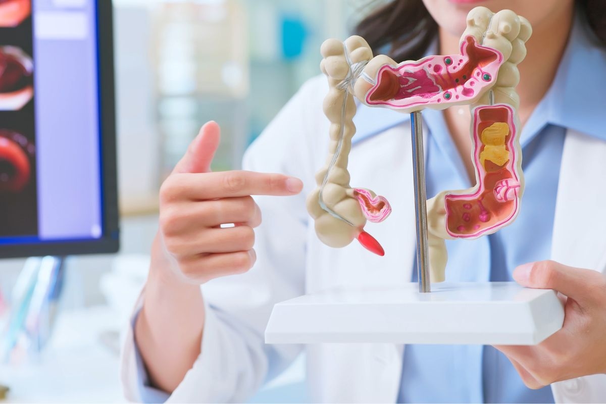 Ungleichgewichte im Darm können die Gesundheit des Gehirns beeinträchtigen; verstehen