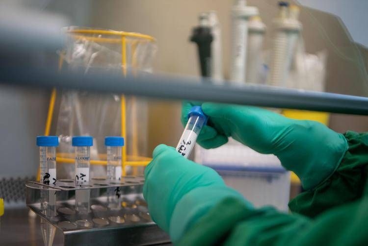 Botulinum: Wie das Gegenmittel wirkt: Wo es zu finden ist