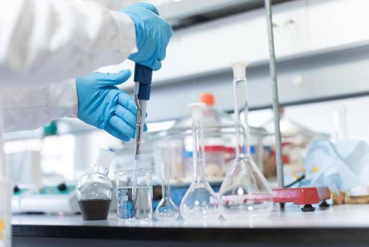 Hematologia de Bolonha lidera na Itália com 240 pacientes tratados com Car-T
