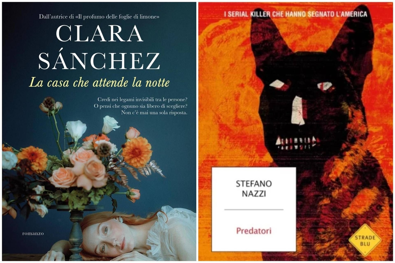The Return of Clara Sanchez and the Minds of Nazzi's Serial Killers: New Releases