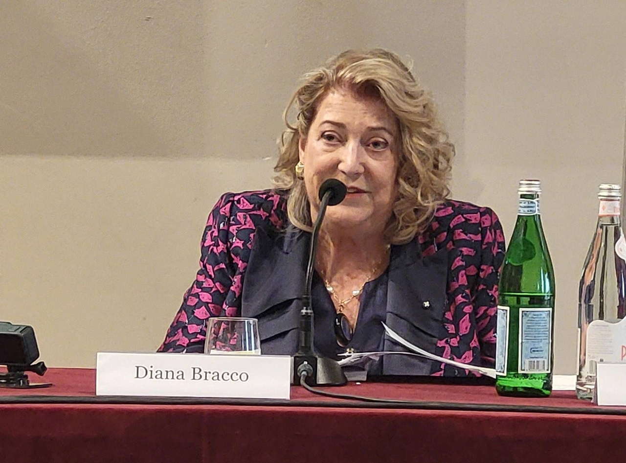 Sergiler, Bracco (Bracco Vakfı): "İçeriden Sanat İçin Resimlere Uygulanan Görüntü Tanılama"