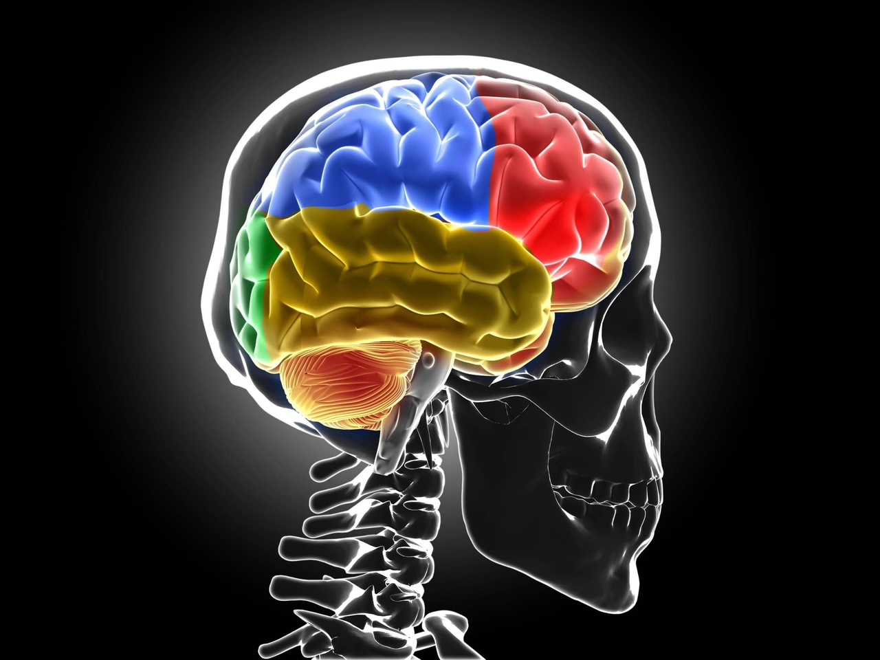 Le système de lavage de cerveau devient dangereux : voici ce qui arrive au cerveau privé de sommeil