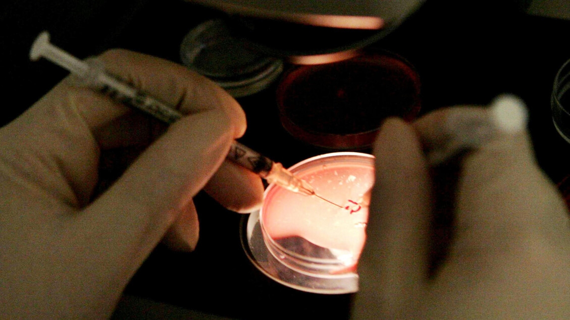 Fertilização tripla na Grã-Bretanha: 8 bebês nascem sem doenças genéticas