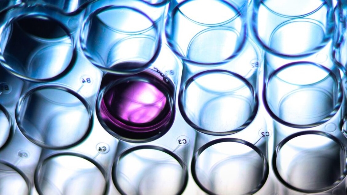 New anticancer molecules kill disease cells more strongly