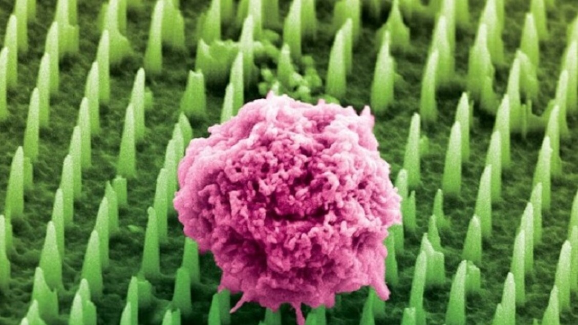 Adesivos com dezenas de milhões de nanoagulhas para substituir biópsias