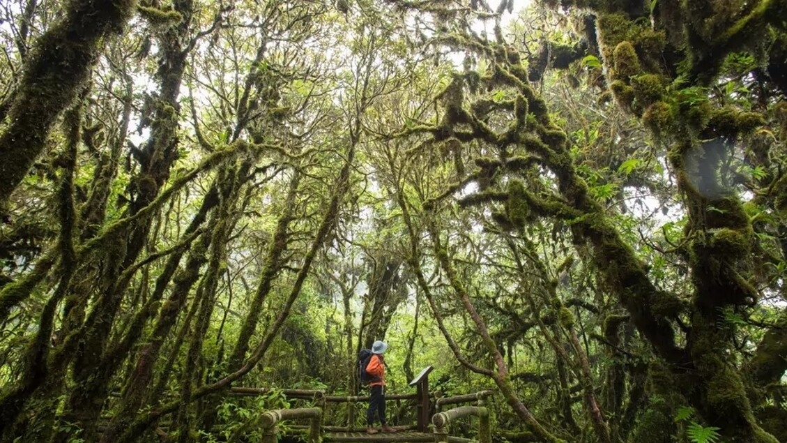 National Parks in Thailand, a Journey into Beauty