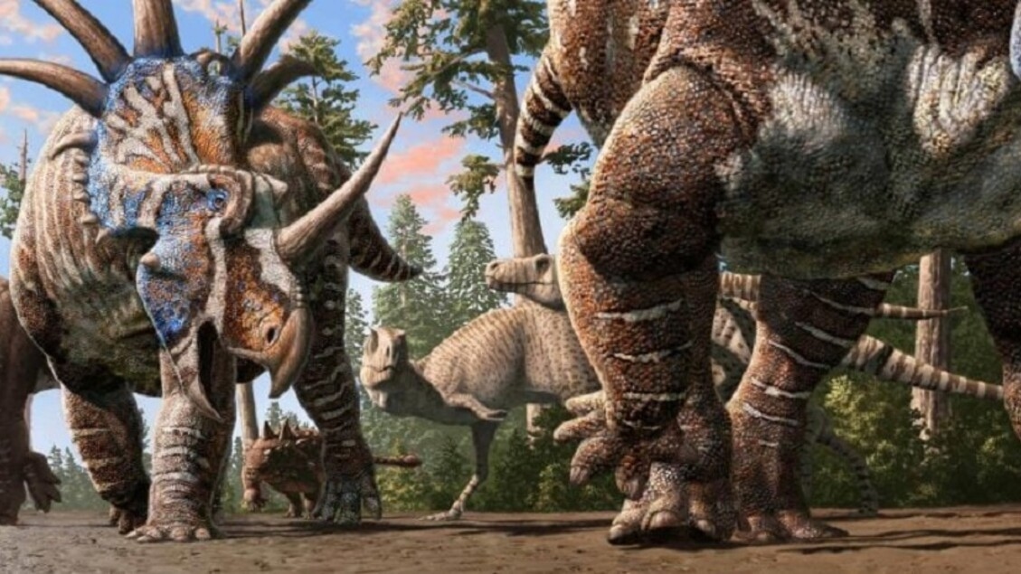 Dinosaurios de diferentes especies caminaron juntos, se encontraron huellas