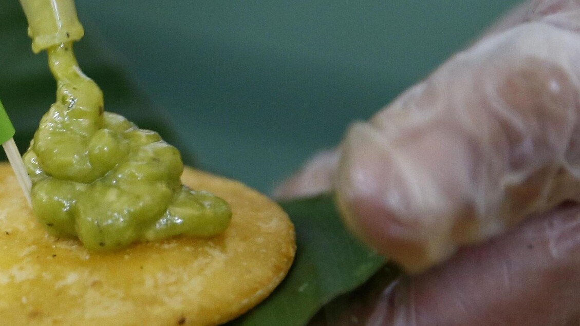 Intossicazione da botulino dopo aver mangiato salsa guacamole: un bimbo al Gemelli, verrà operato