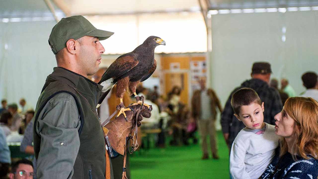 Die 16. Mértola-Jagdmesse kehrt im Oktober in den Mehrzweckpavillon der Expo zurück