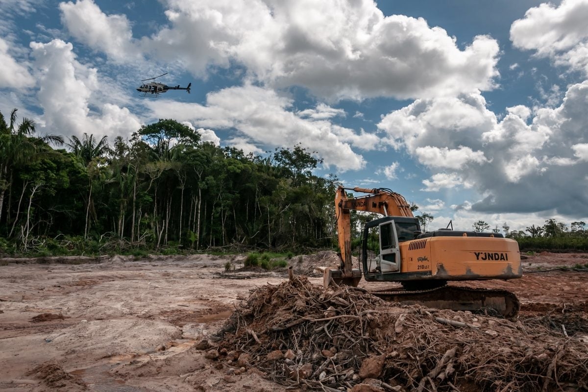 Amazonas: Abholzungsalarm wächst und mobilisiert Regierung