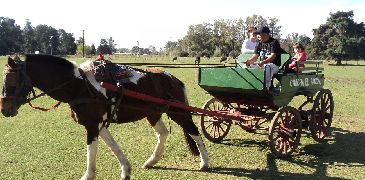 Tien plattelandsrestaurants met activiteiten voor volwassenen en kinderen