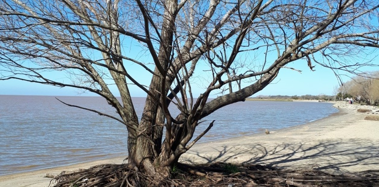 A getaway to the natural landscape of the Southern Coastal Park and a little-known circuit on Route 11