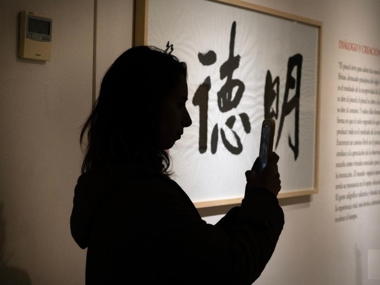 Arte y tradición china: caligrafía milenaria en una exposición gratuita en Buenos Aires