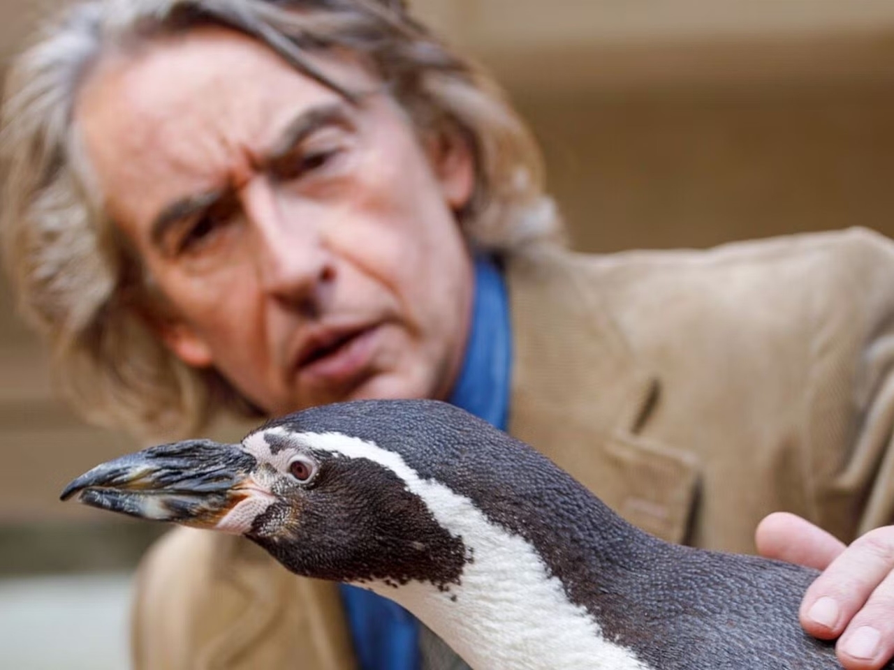 L'incredibile storia del pinguino che viveva alla Saint George's School negli anni '70: il racconto dell'insegnante che lo adottò.