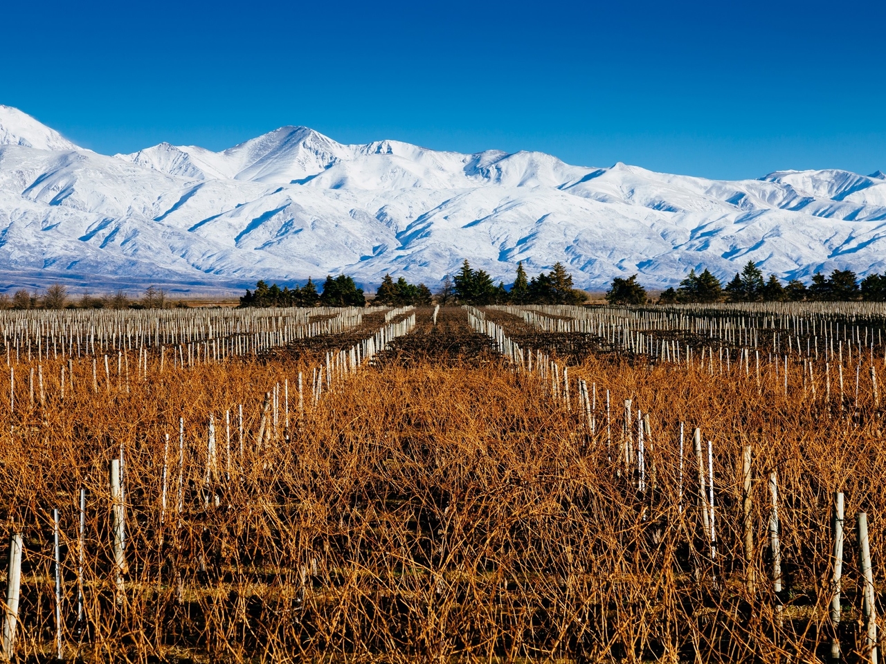 Le attrazioni imperdibili di Mendoza durante le vacanze invernali: cosa vedere in città, le strade dell'alta montagna e del vino e l'incredibile paesaggio di La Payunia.