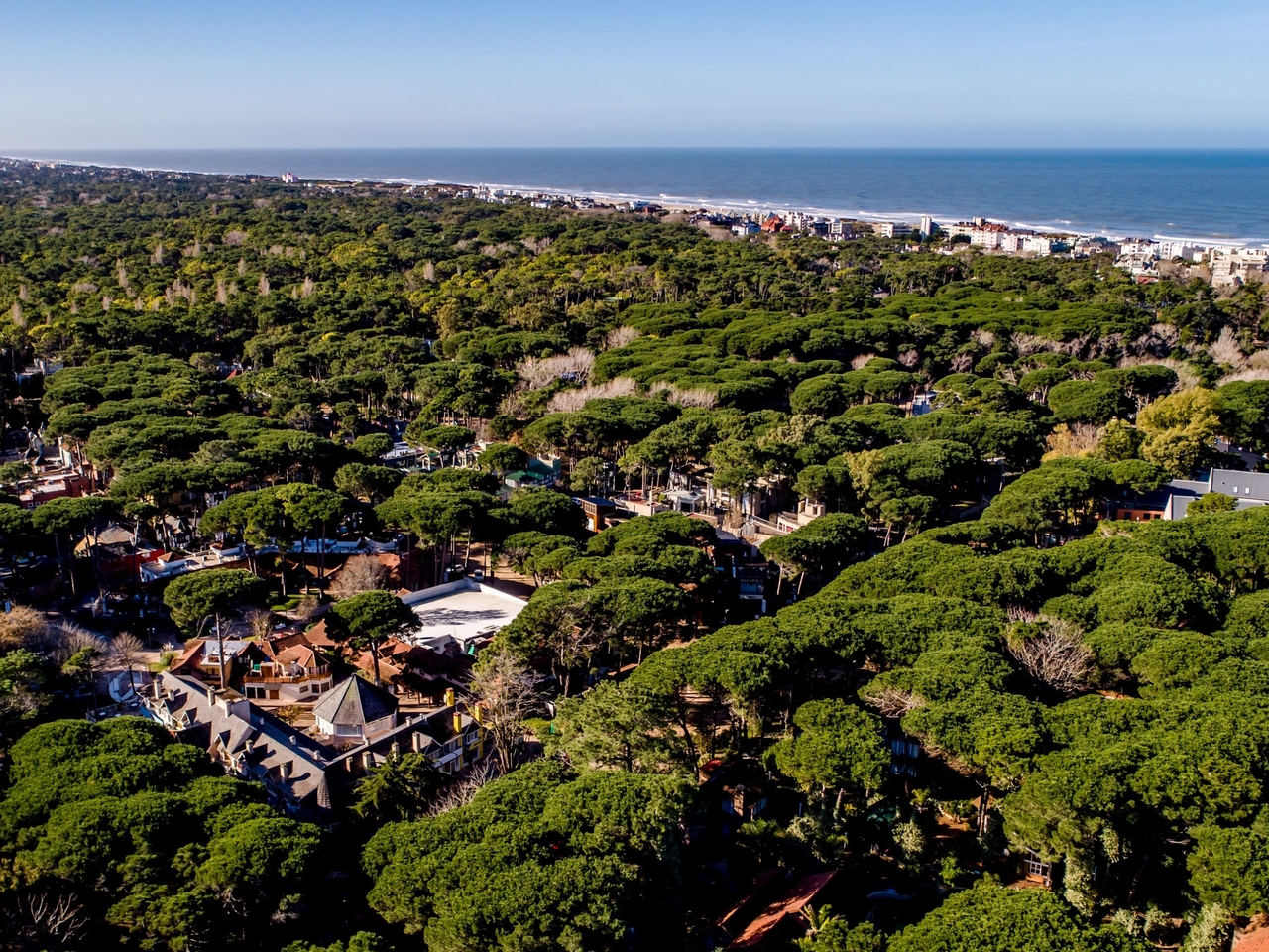 Een ander soort weekend in Cariló: bostherapie, Tibetaanse klankschalen en een workshop voor gebroken harten