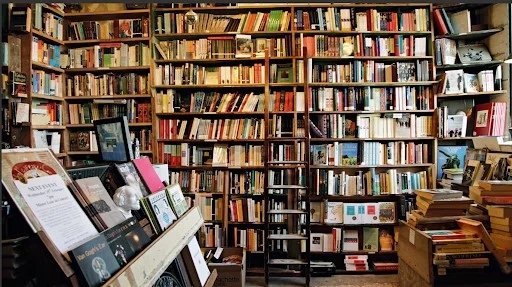 Библиотека Фейры выдала больше всего книг в стране и вложила больше всего средств в книги в 2023 году