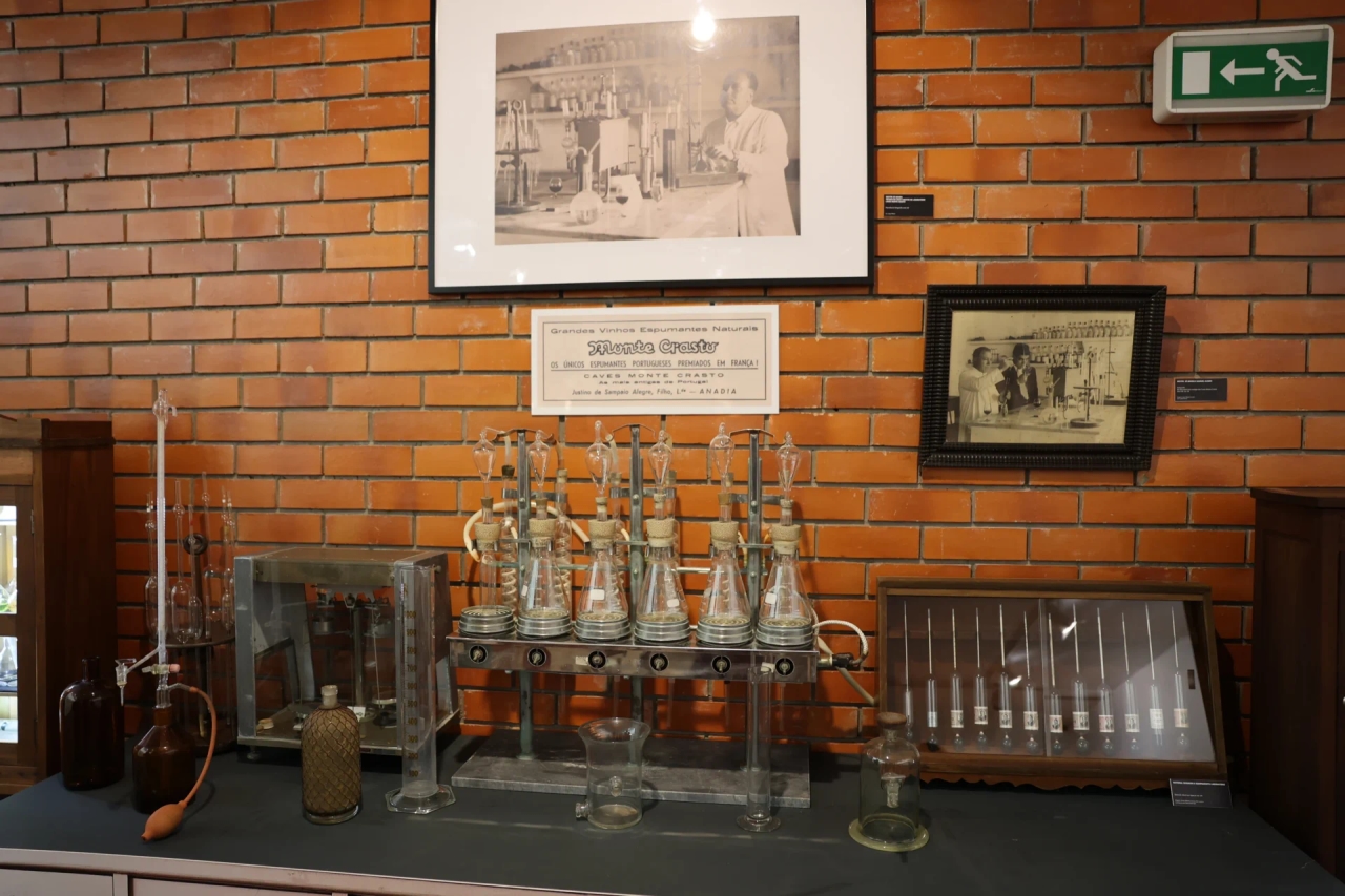 Bairrada Wine Museum opens exhibition “Sparkling Wine | Bairrada Motherland”
