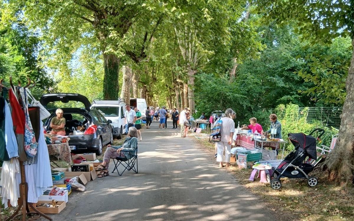 What to do in the Dordogne this midweek?