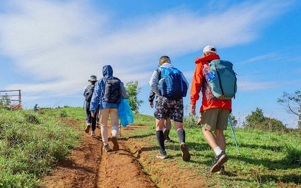 Que faire cette semaine en Dordogne ?