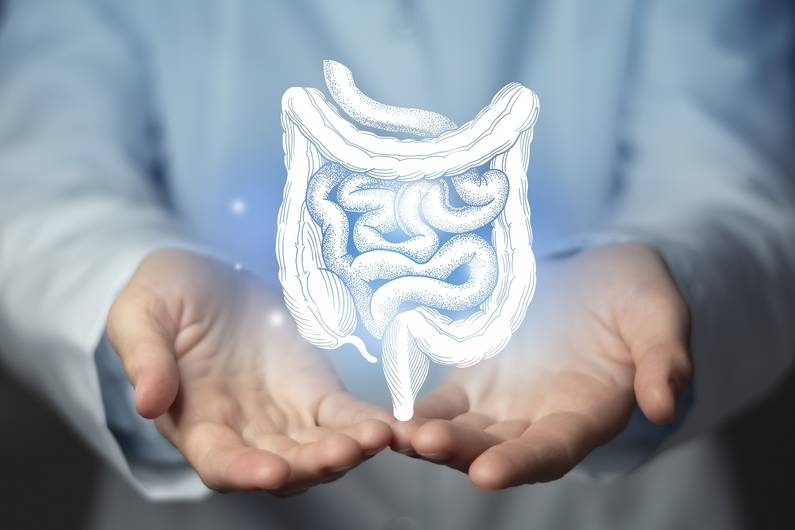 Nutrition expert Uwe Knop: Losing weight through diet and exercise: The surprising truth about our gut