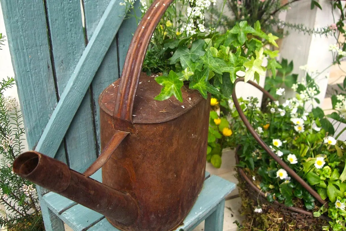 17 лучших идей для сада при небольшом бюджете