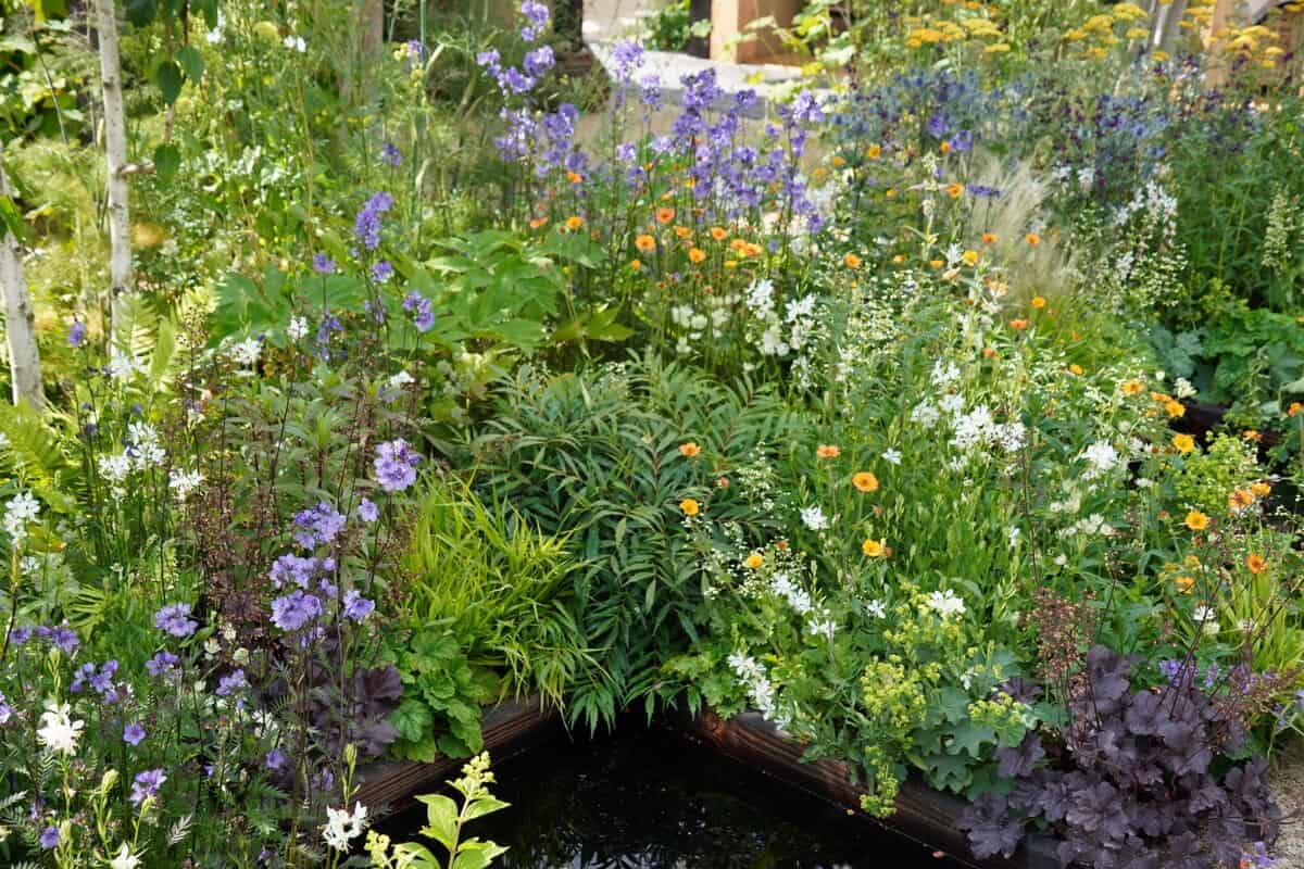 Você vai querer implementar essas 5 tendências de jardinagem do Gardeners' World Live 2025 em seu próprio jardim imediatamente