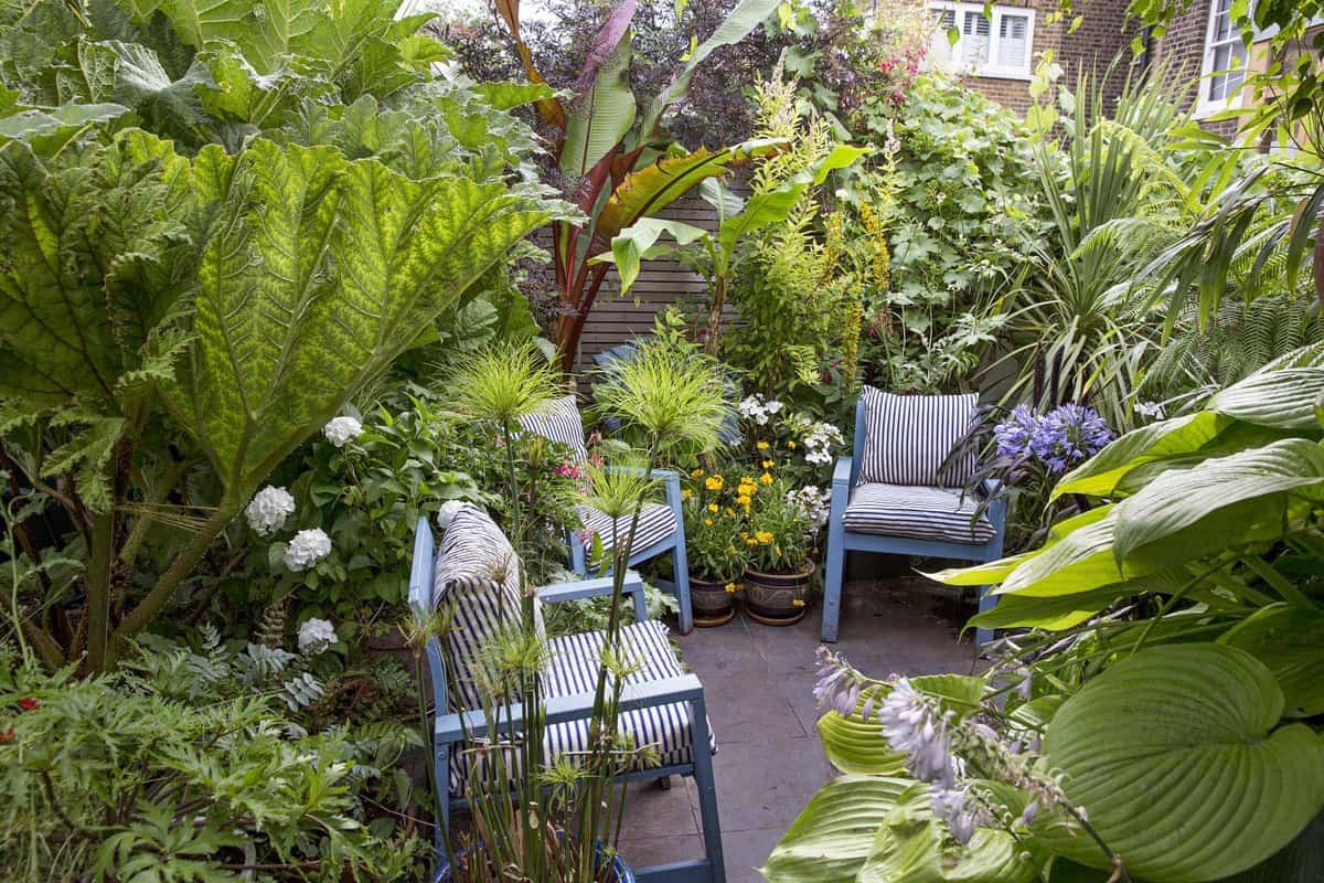 Last van de hitte? Deze planten maken je tuin koeler