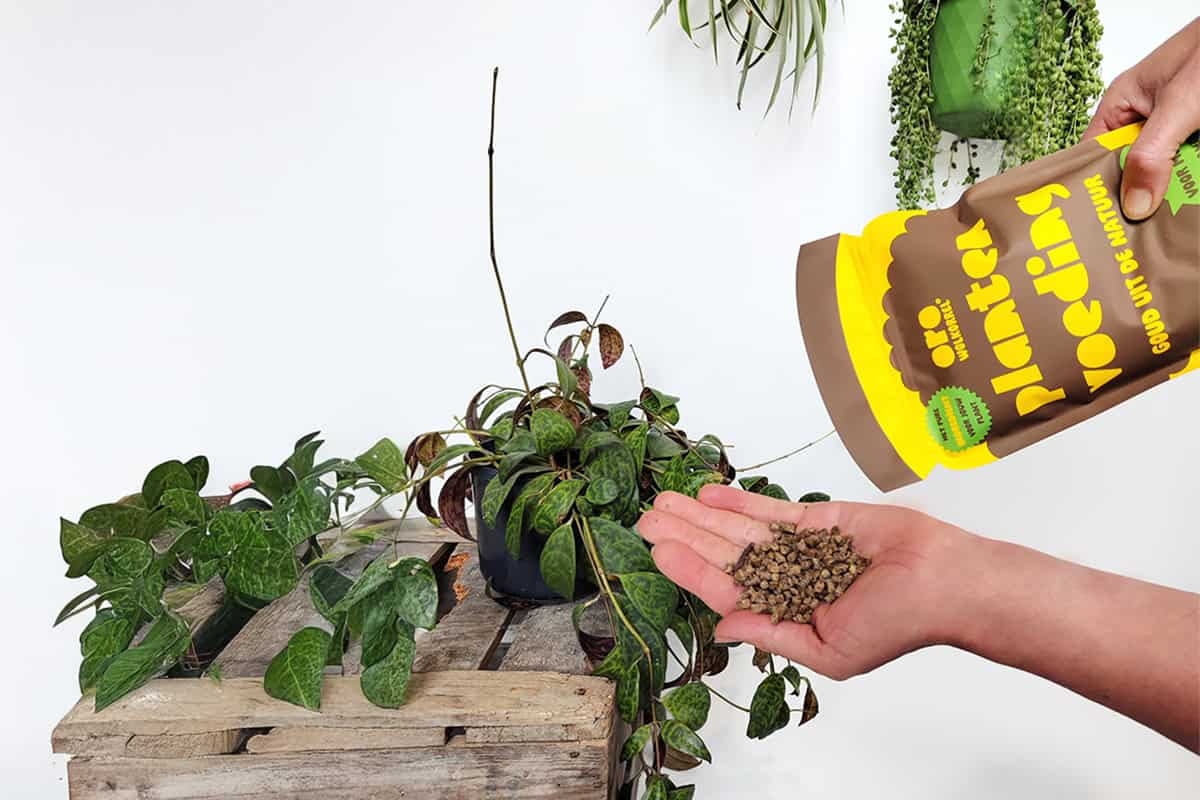 Alimenta tus plantas con pellets de lana (concurso)