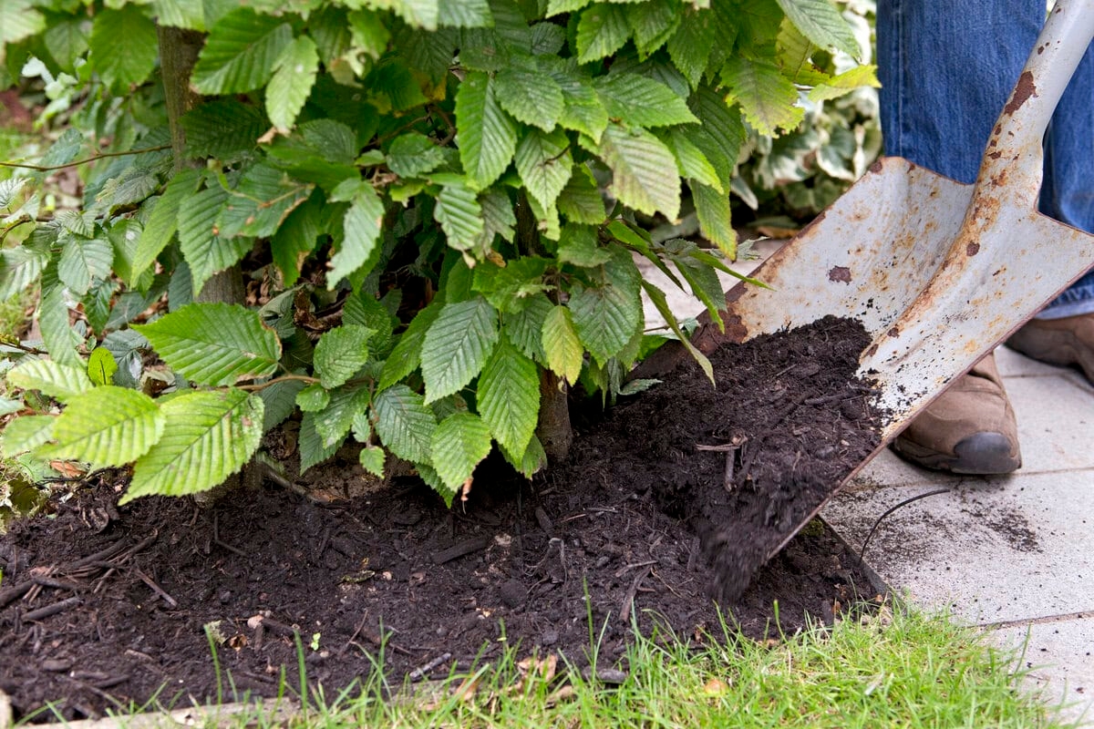 Защитите свой сад от осенней непогоды с помощью этих полезных советов