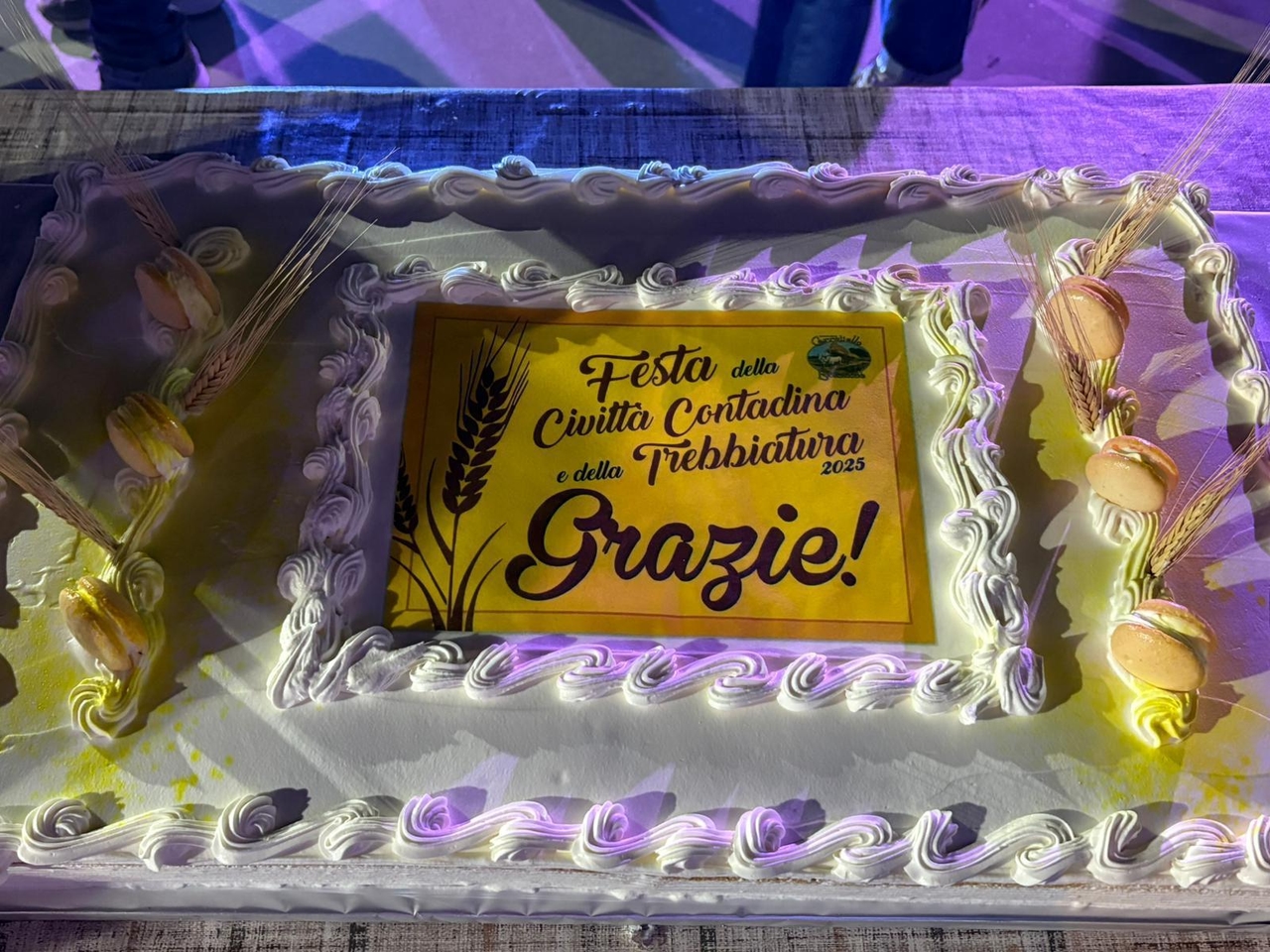 Köylü Medeniyeti Festivali'nin 2025 edisyonu 5.000'den fazla ziyaretçiyi ağırladı.
