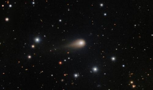 Cometa interestelar