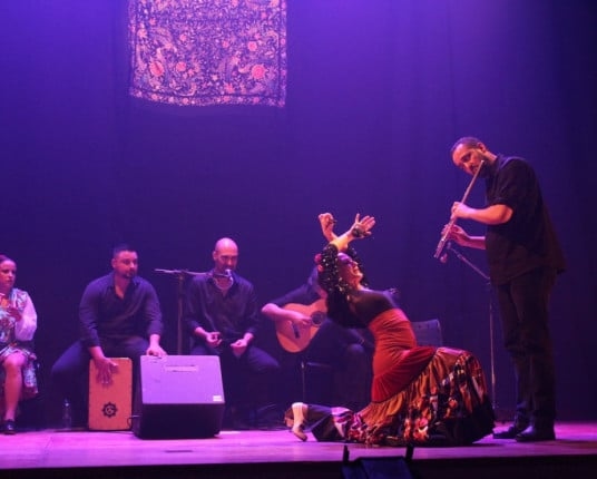 Del Puerto Company lanceert digitaal conserveringsproject voor zijn flamencocollectie