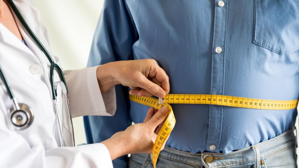 Um componente da microbiota intestinal 'decide' quantas calorias o corpo absorve