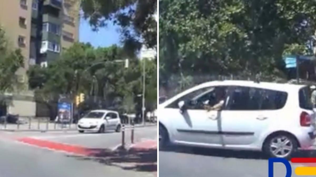 La manovra spericolata di un veicolo all'ingresso di una rotonda a Hospitalet de Llobregat ha quasi causato un incidente: "Almeno si è scusato".