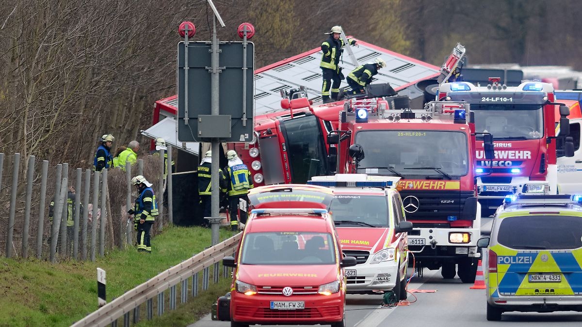 Einige tote Tiere nach Unfall: Schweine entwischen aus umgekippten Tiertransporter auf A2