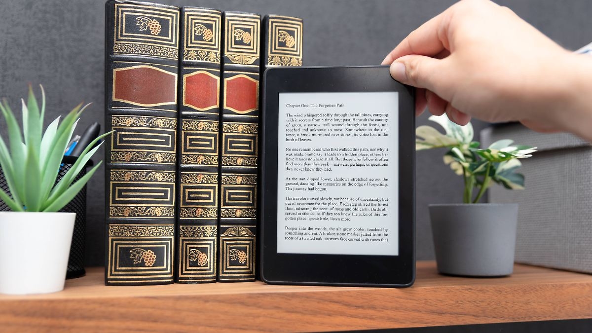 Daha çevre dostu okuyun: Warentest'teki en iyi e-kitap okuyucuları şunlardır