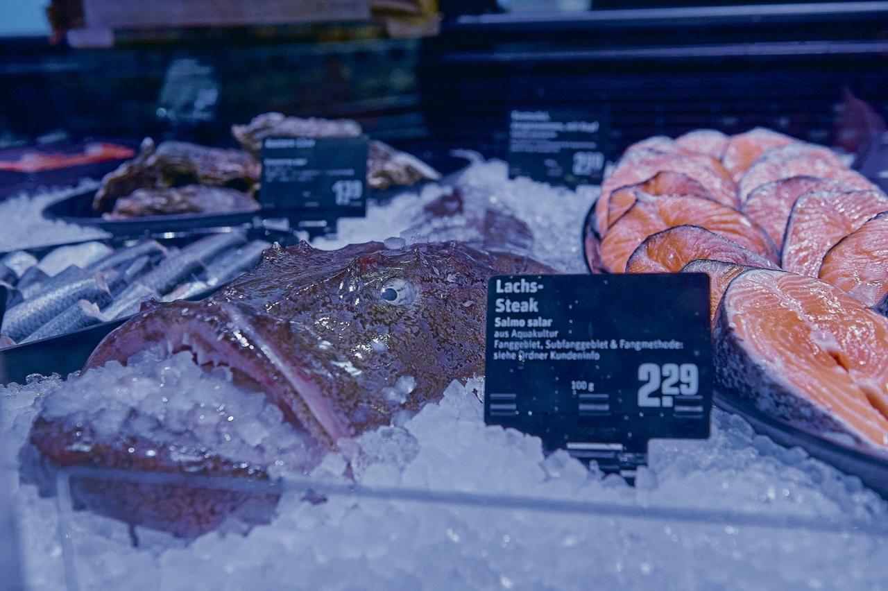 Economia marittima | Appetito per il pesce globale