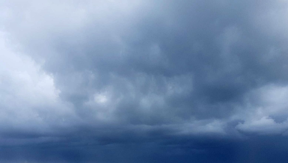 Cosa sta succedendo sulle spiagge romagnole? I granchi blu in aumento