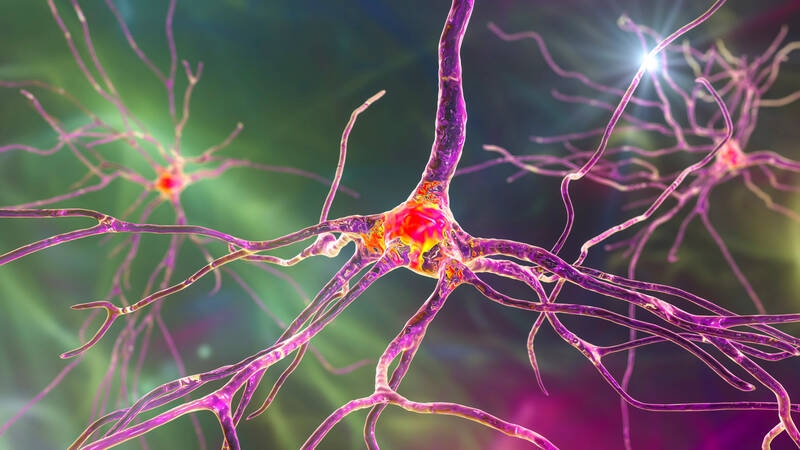 Autonomic diabetic neuropathy: Not painful, but extremely harmful
