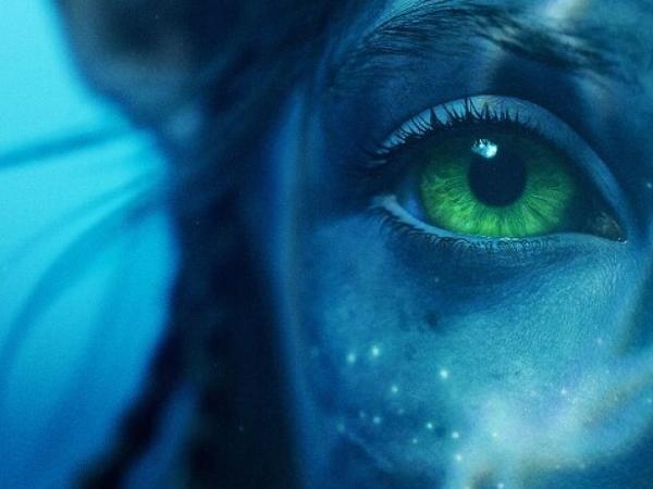 Was steckt hinter James Camerons Besessenheit von „Avatar“?