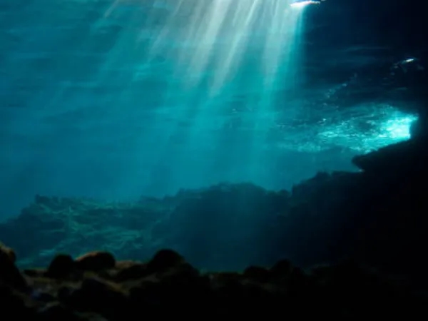 Perché gli scienziati sono preoccupati per il cambiamento dei colori degli oceani?