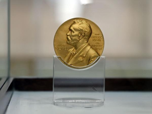 This is the amount of money that the person who wins the Nobel Peace Prize earns.